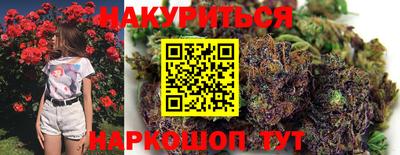 шишки Сланцы