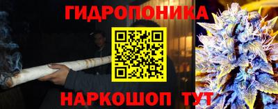 СК Славянск-на-Кубани