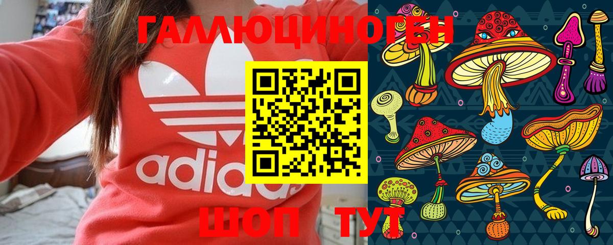 Омск  Псилоцибиновые грибы мицелий  Вход с VPN 